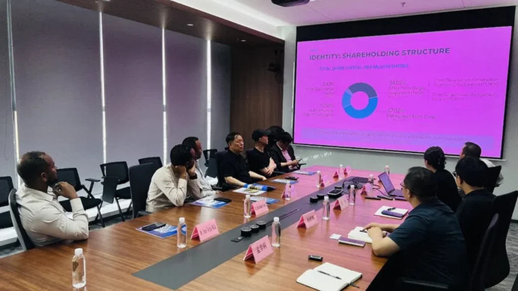 Technical meeting between NSD Electric engineers and an Ethiopian power company delegation.